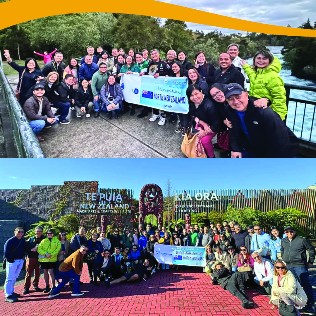 Turtle Down Under – Create, Edit and Sell experiences to New Zealand in ...